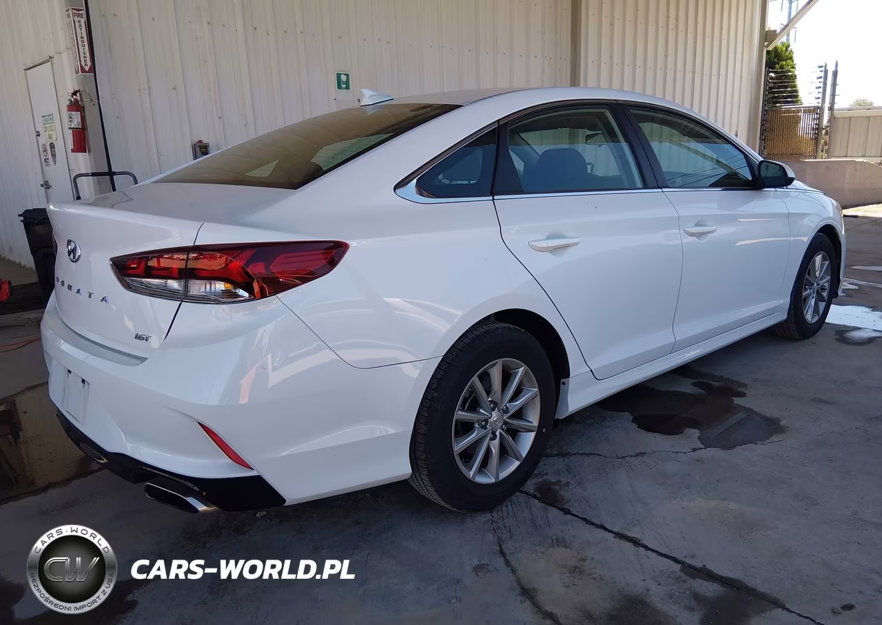 2019 Hyundai Sonata Eco VIN:5NPE24AA4KH802524 - 4