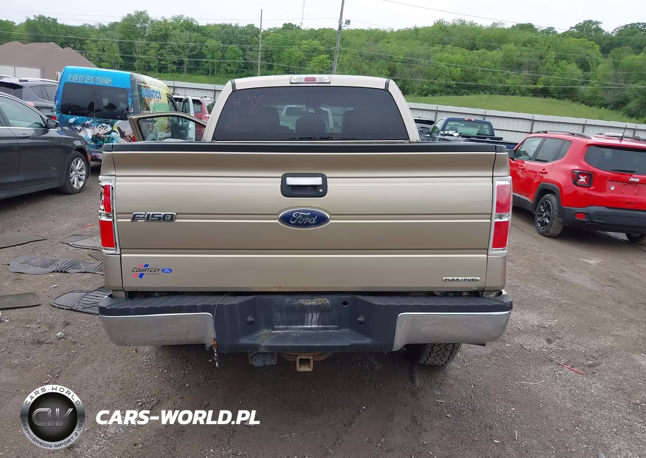 2012 Ford F-150 Xlt VIN:1FTEX1CM1CFA36917 - 17