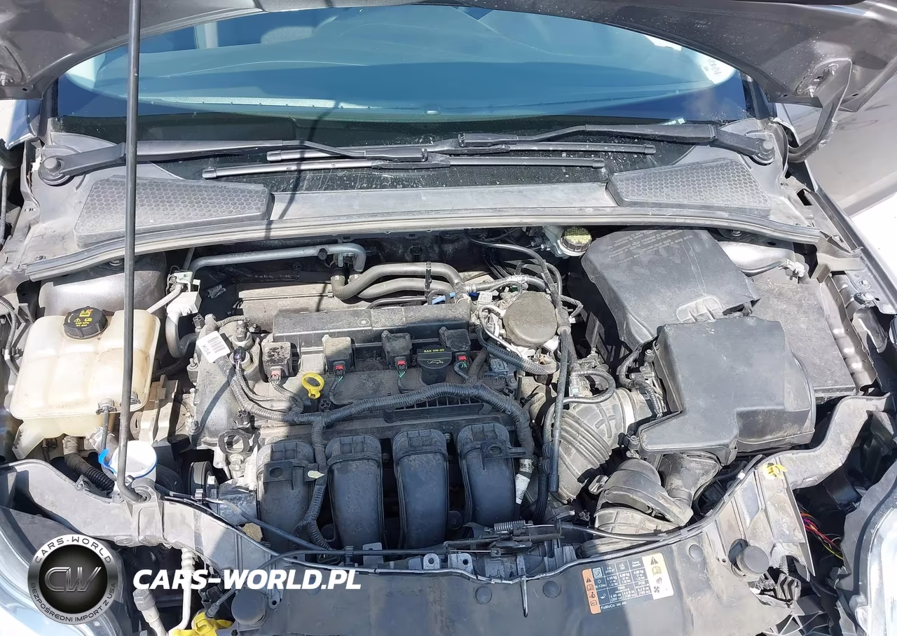2014 Ford Focus S VIN:1FADP3E21EL341489 - 10