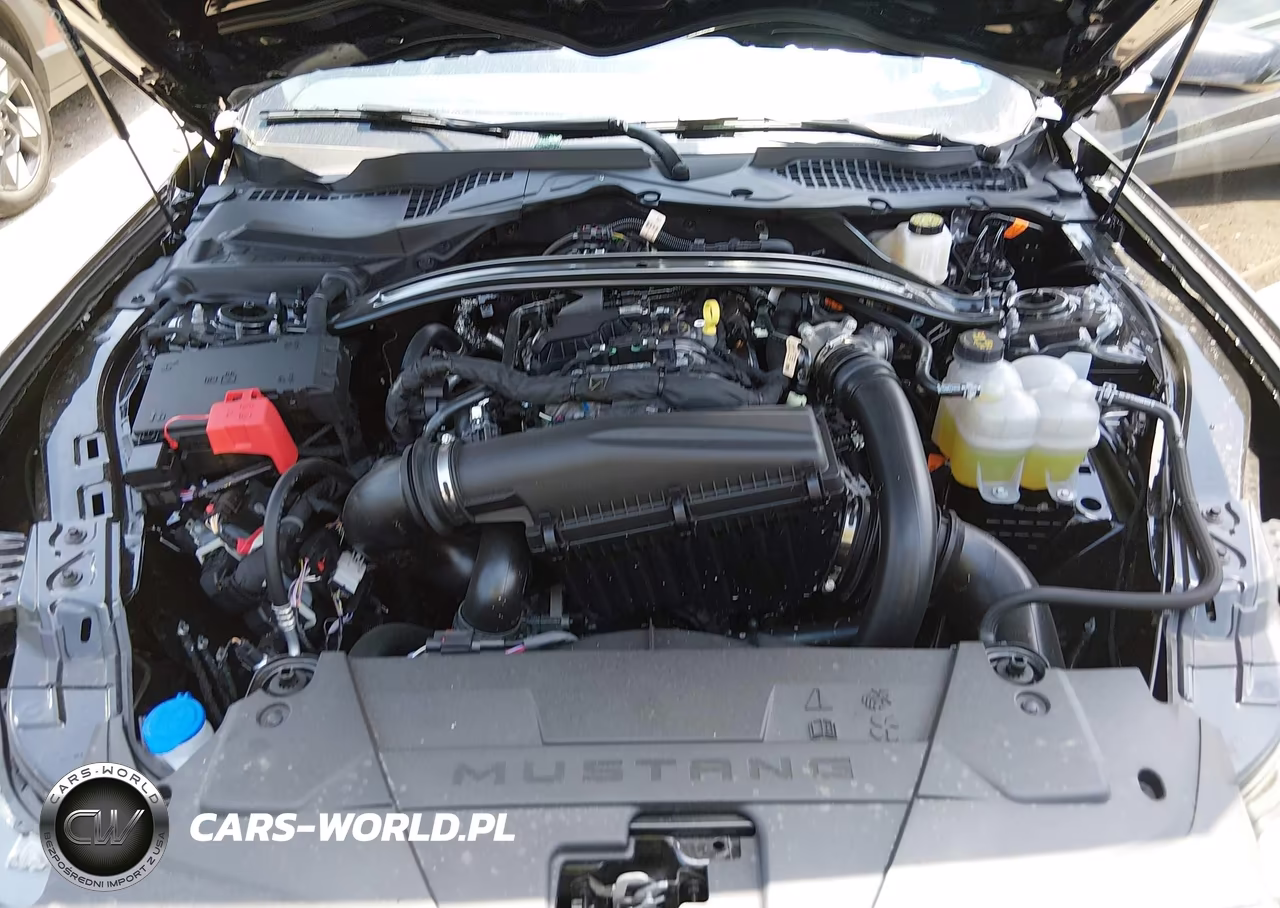 2026 Ford Mustang Ecoboost Premium VIN:1FAGP8UH4T5117893 - 10
