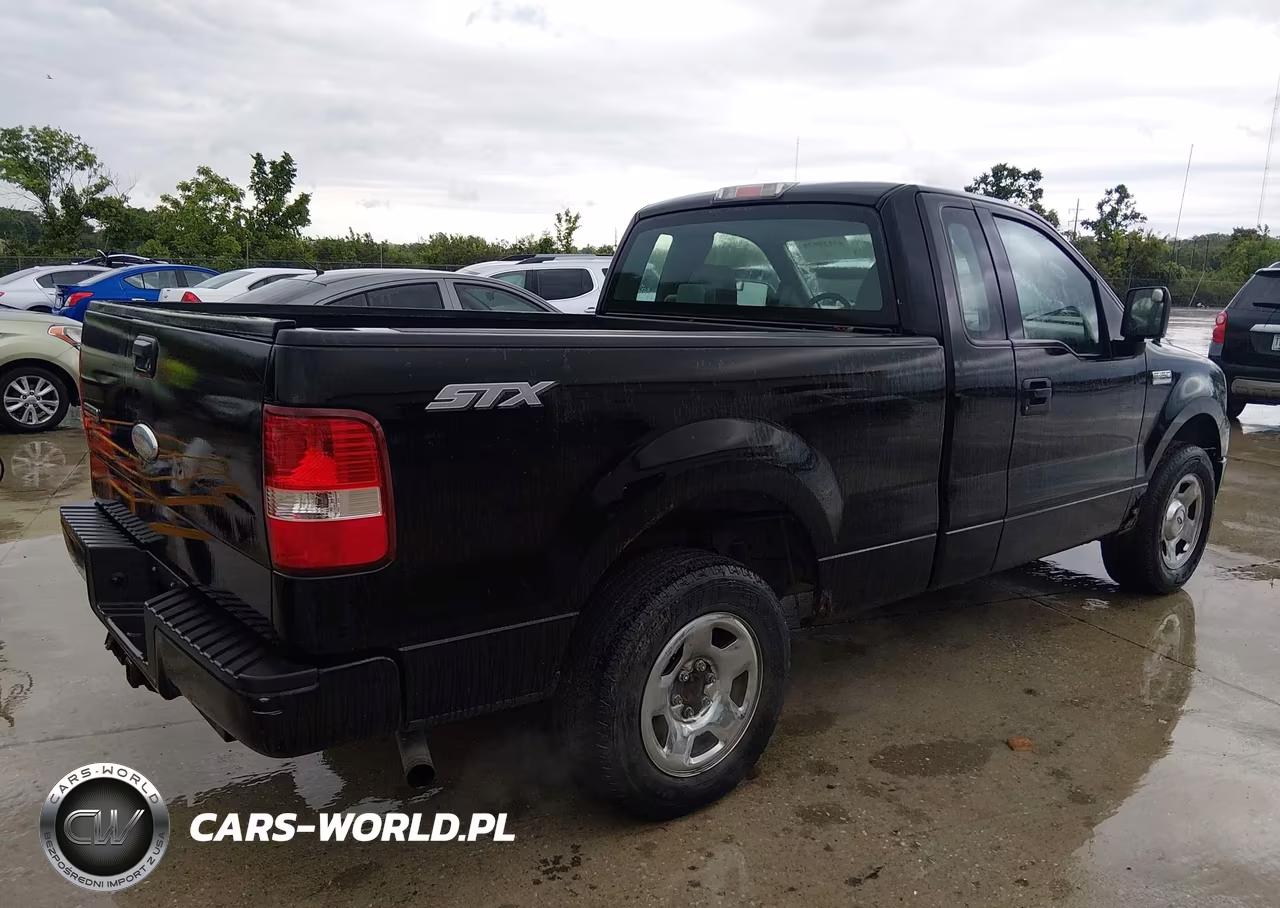 2006 Ford F-150 Stx-Xl-Xlt VIN:1FTRF12226NB65196 - 4