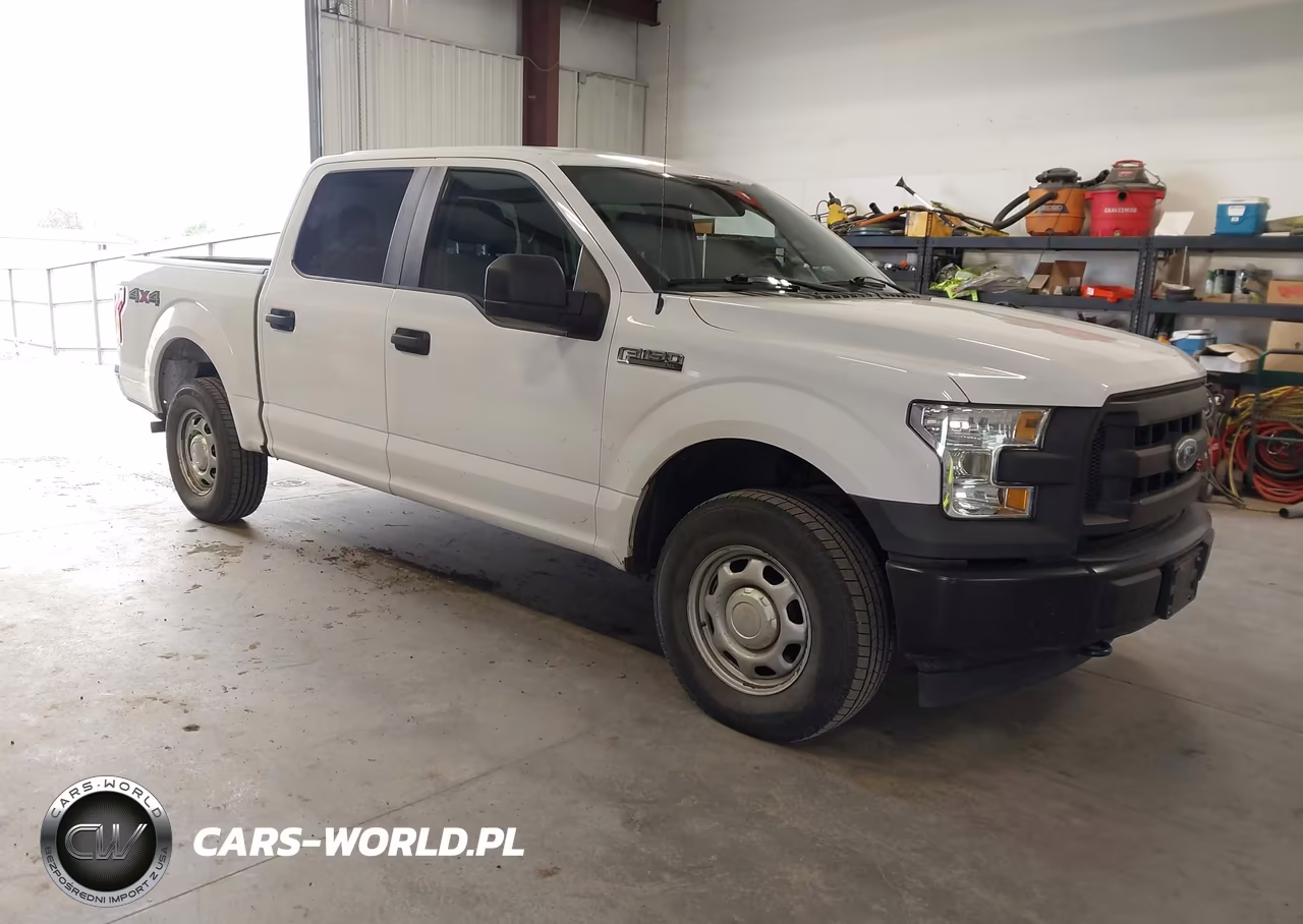 2017 Ford F-150 Xl – zdjęcie 1 z 19
