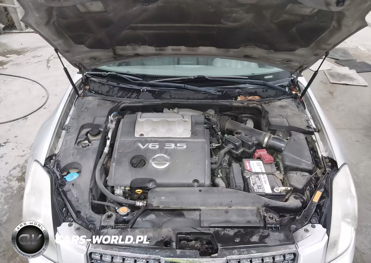 2004 Nissan Maxima 3.5 Se VIN:1N4BA41E04C924018 - 10