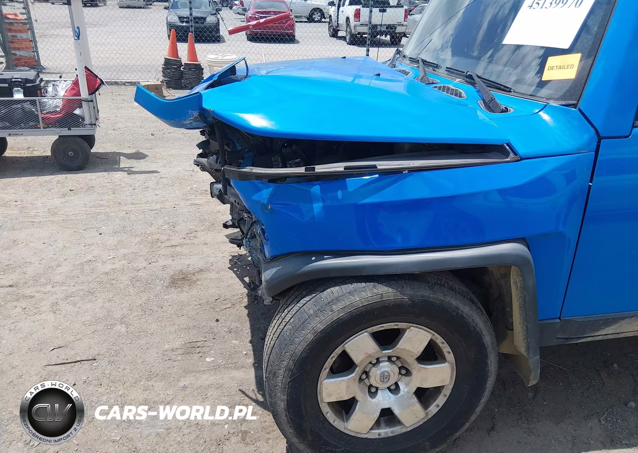 2007 Toyota Fj Cruiser VIN:JTEBU11F670098897 - 20