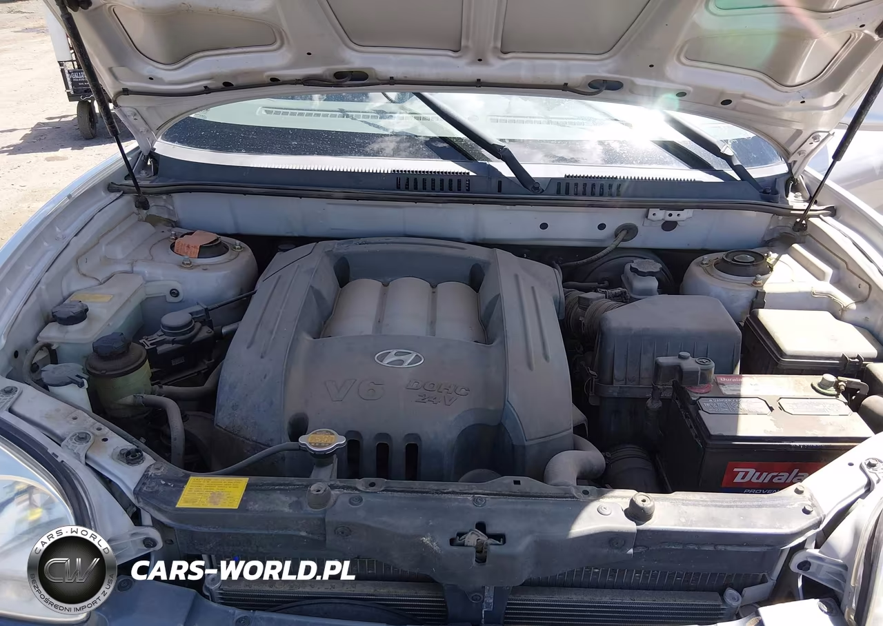2002 Hyundai Santa Fe Gls-Lx VIN:KM8SC73D72U243965 - 10