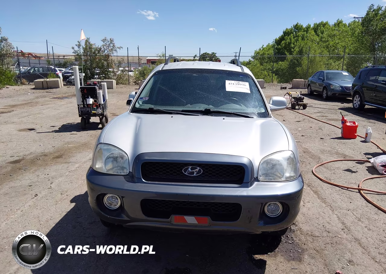 2002 Hyundai Santa Fe Gls-Lx VIN:KM8SC73D72U243965 - 12