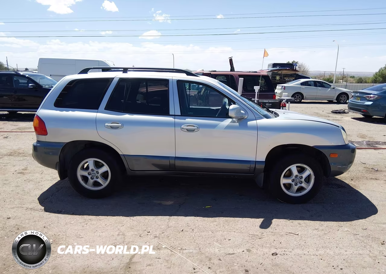 2002 Hyundai Santa Fe Gls-Lx VIN:KM8SC73D72U243965 - 13