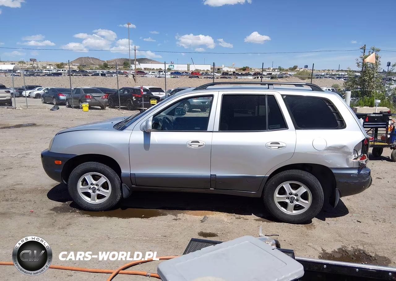 2002 Hyundai Santa Fe Gls-Lx VIN:KM8SC73D72U243965 - 14