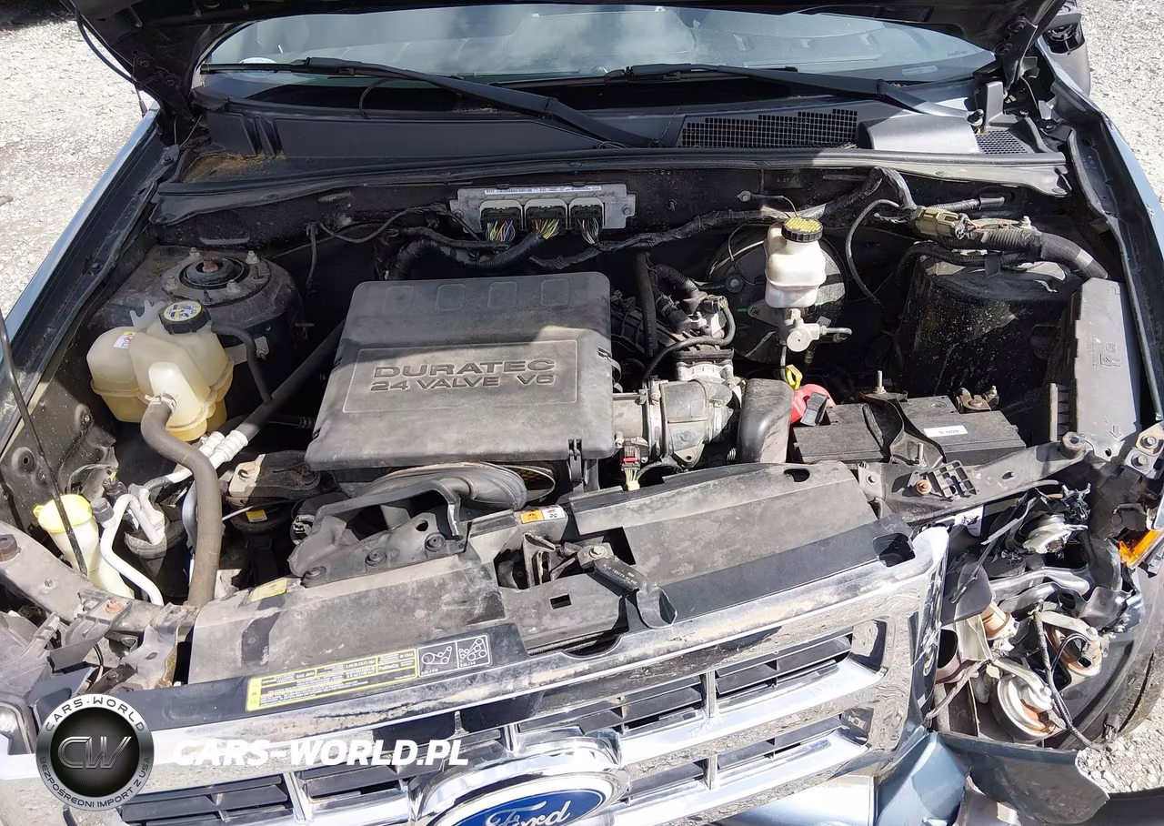 2010 Ford Escape Xlt VIN:1FMCU9DG9AKD15605 - 10