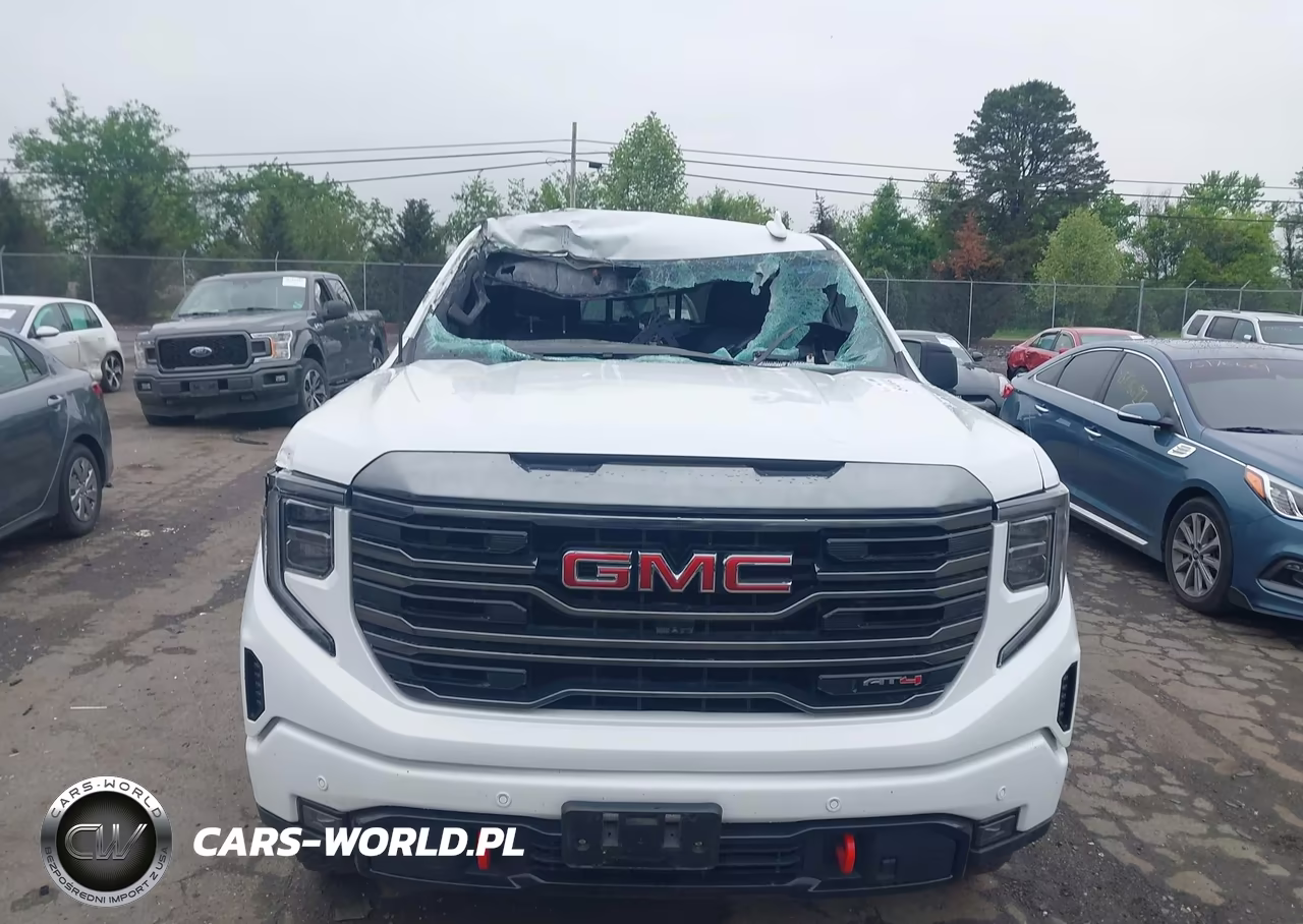2024 GMC Sierra 1500 4Wd Short Box At4 VIN:3GTUUEE84RG223720 - 11
