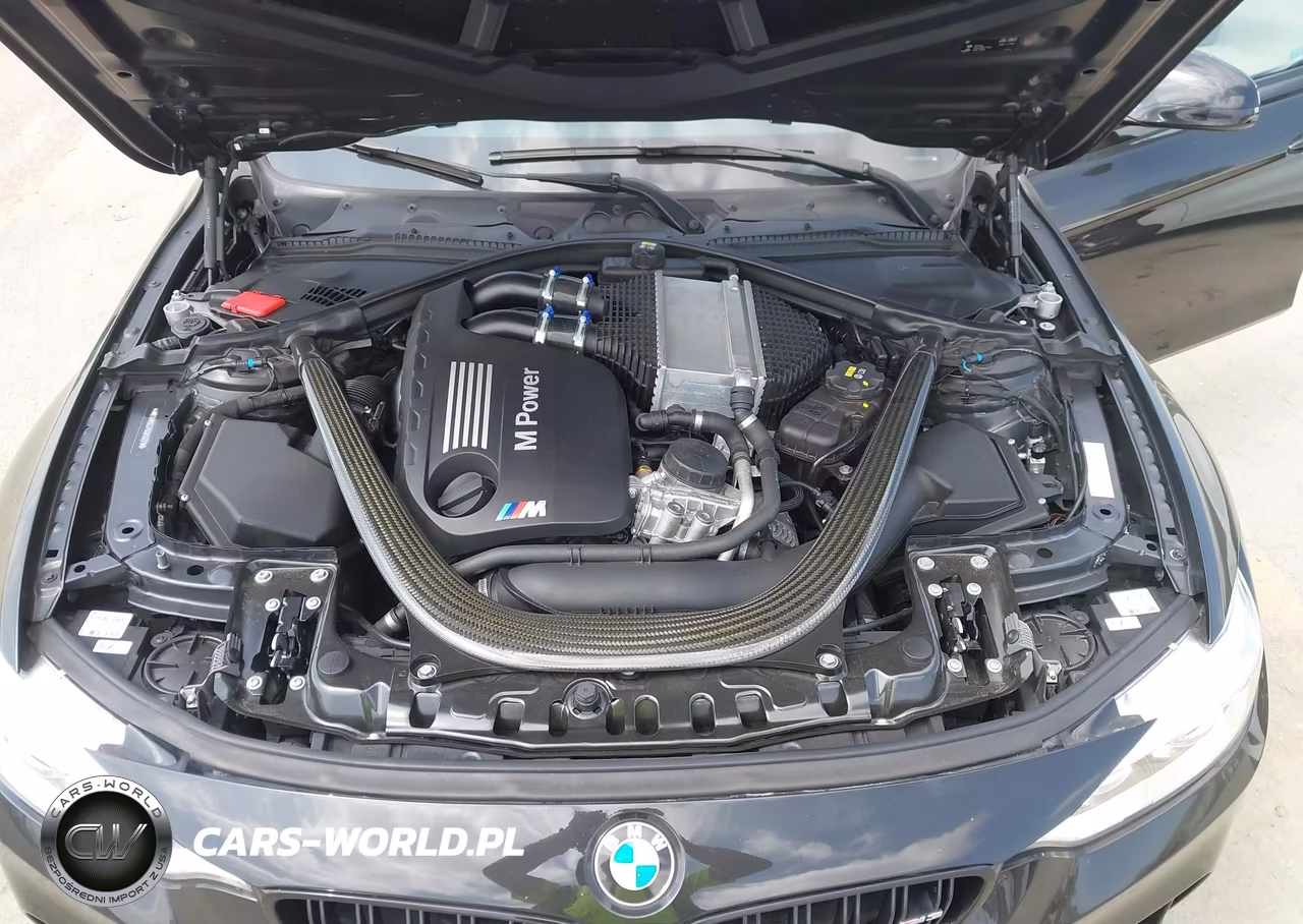 2016 BMW M3 VIN:WBS8M9C57G5D31279 - 10