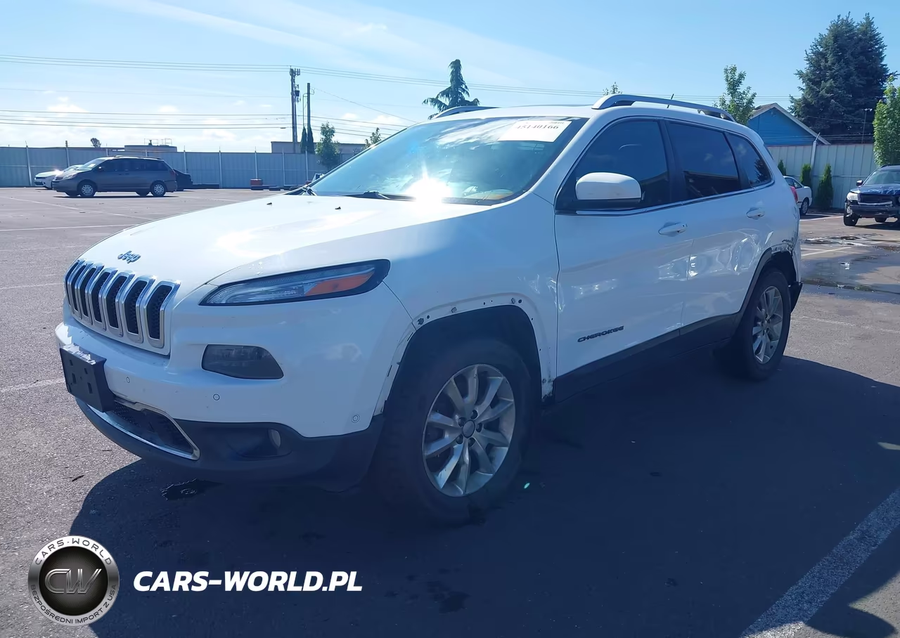 2014 Jeep Cherokee Limited VIN:1C4PJMDS0EW256917 - 2
