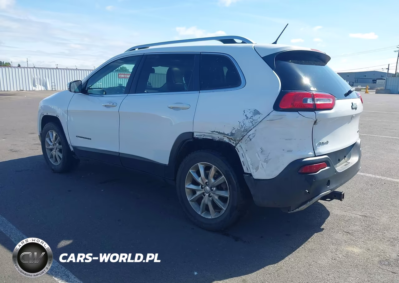 2014 Jeep Cherokee Limited VIN:1C4PJMDS0EW256917 - 3