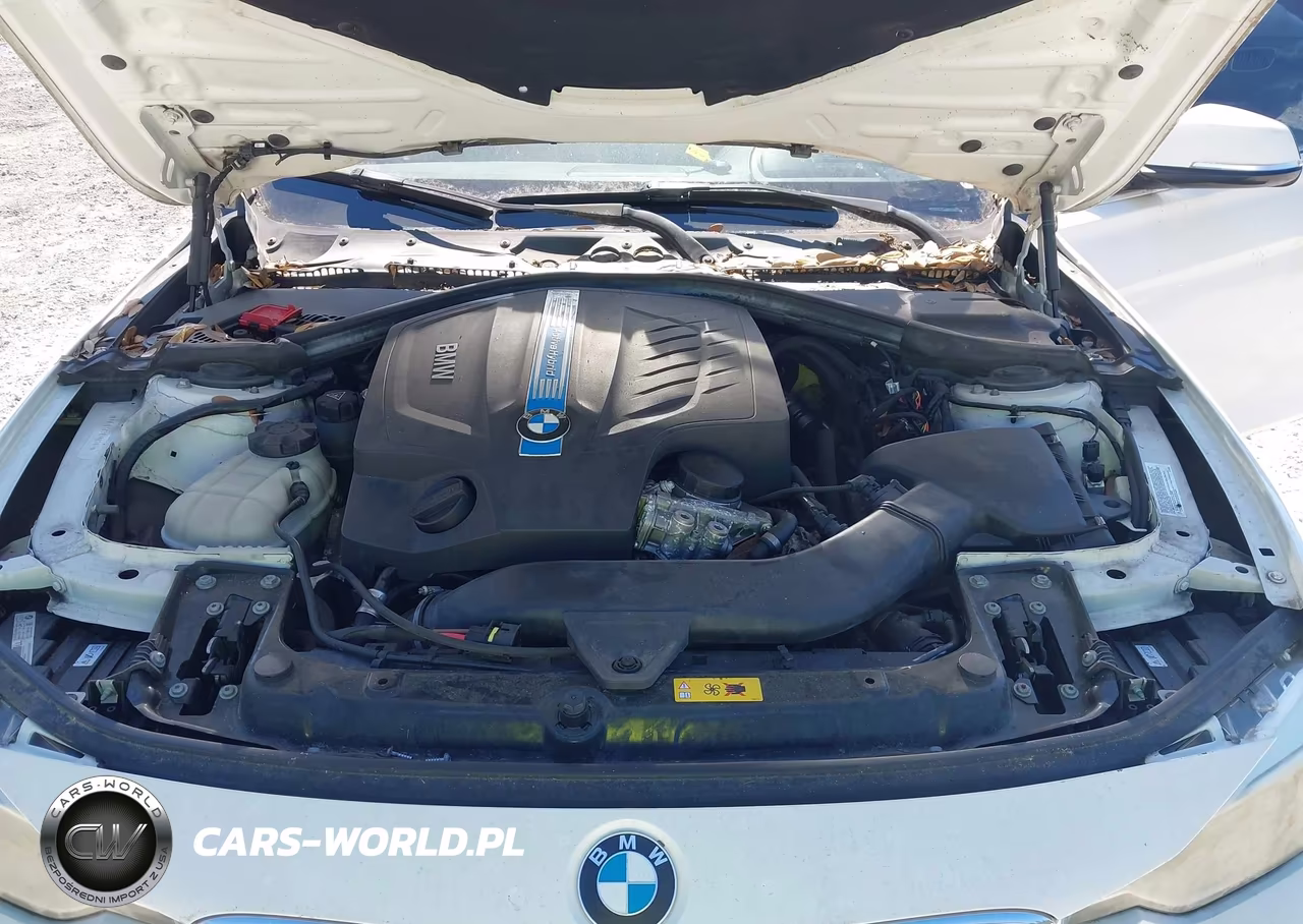 2013 BMW Activehybrid 3 VIN:WBA3F9C51DF483764 - 10