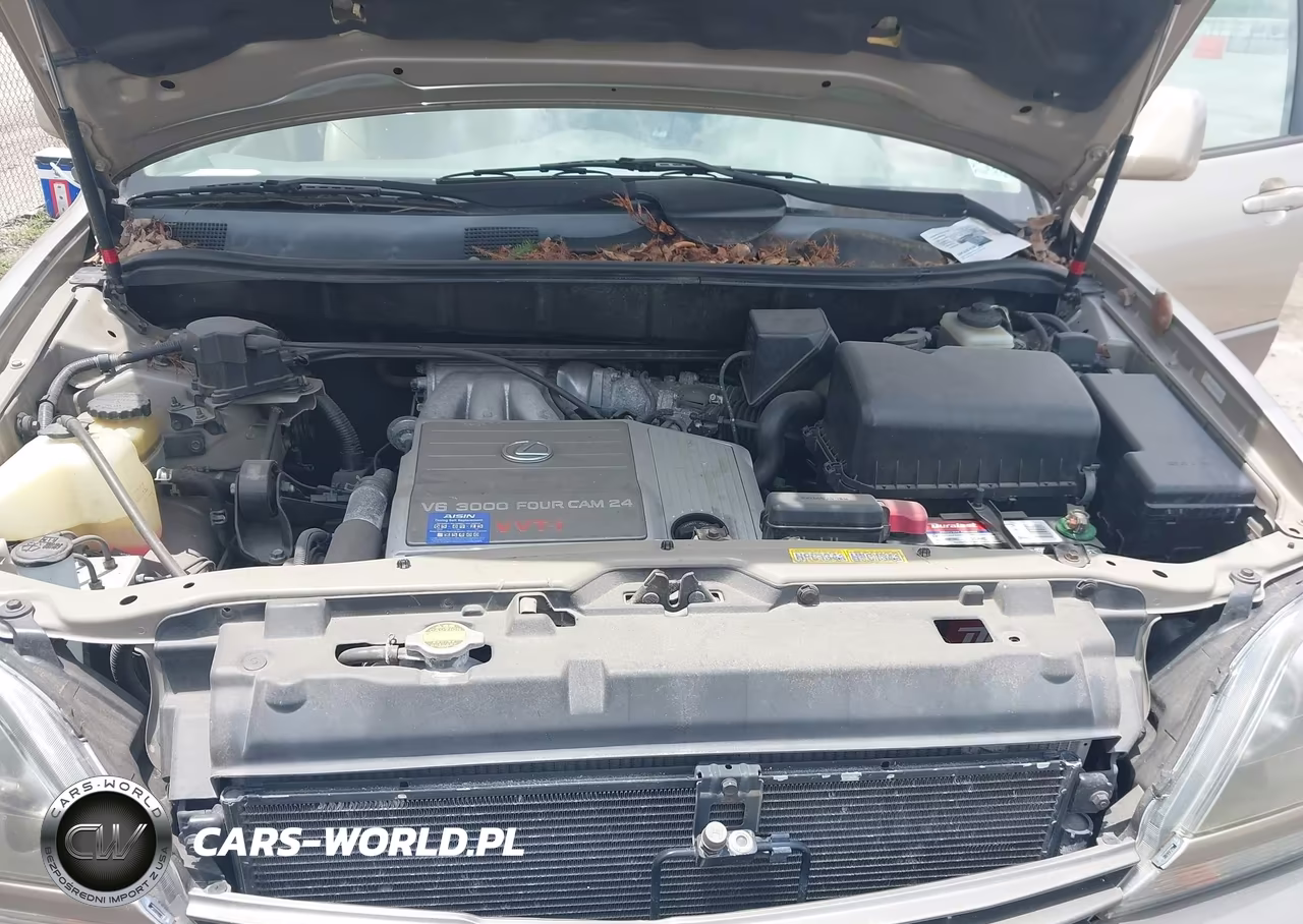 1999 Lexus Rx 300 VIN:JT6GF10U3X0034604 - 10