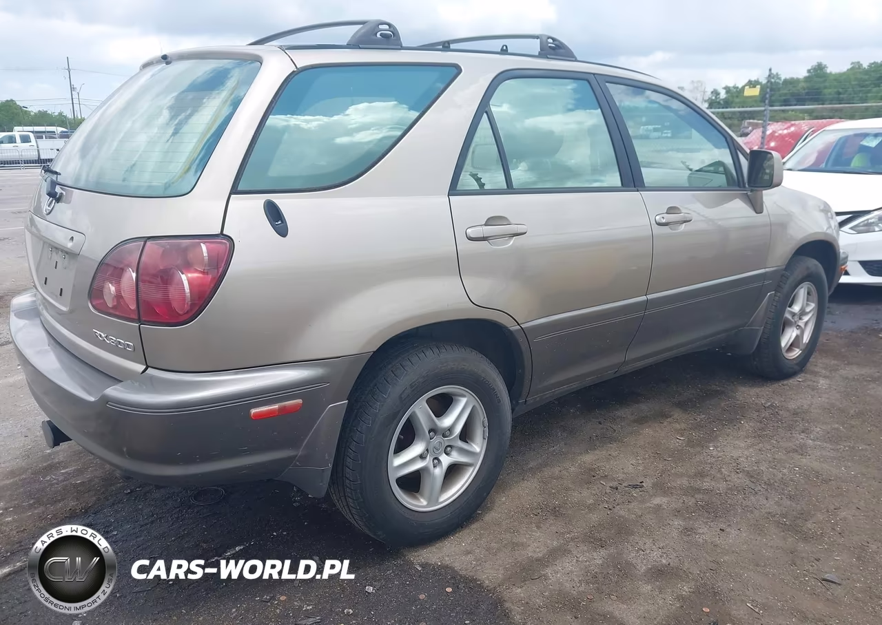 1999 Lexus Rx 300 VIN:JT6GF10U3X0034604 - 4