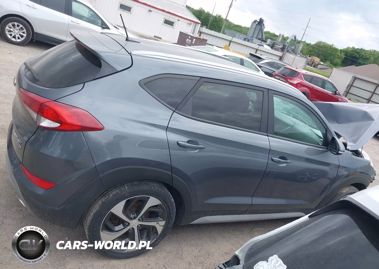 2017 Hyundai Tucson Sport VIN:KM8J3CA28HU401423 - 14