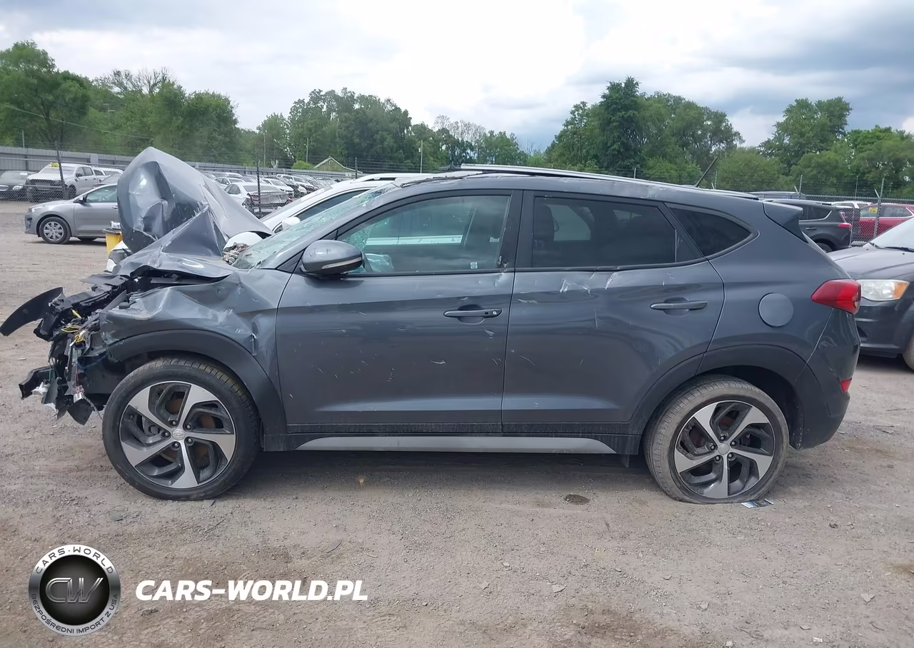 2017 Hyundai Tucson Sport VIN:KM8J3CA28HU401423 - 15
