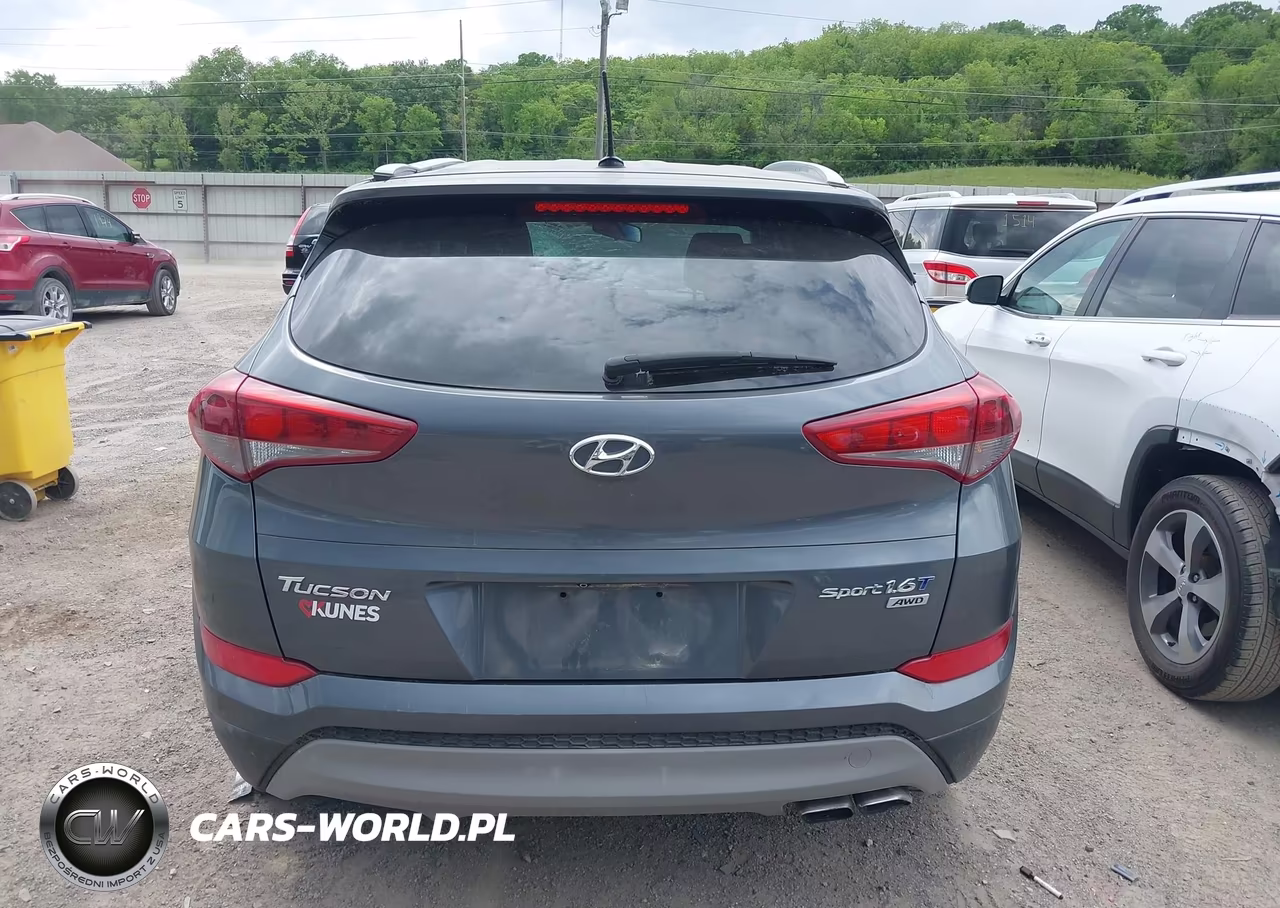 2017 Hyundai Tucson Sport VIN:KM8J3CA28HU401423 - 17