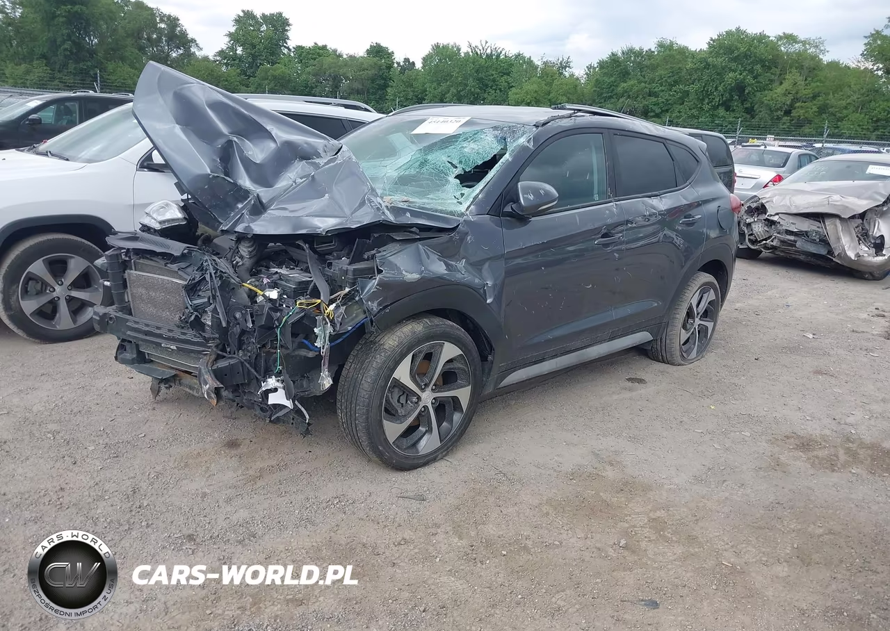 2017 Hyundai Tucson Sport VIN:KM8J3CA28HU401423 - 2