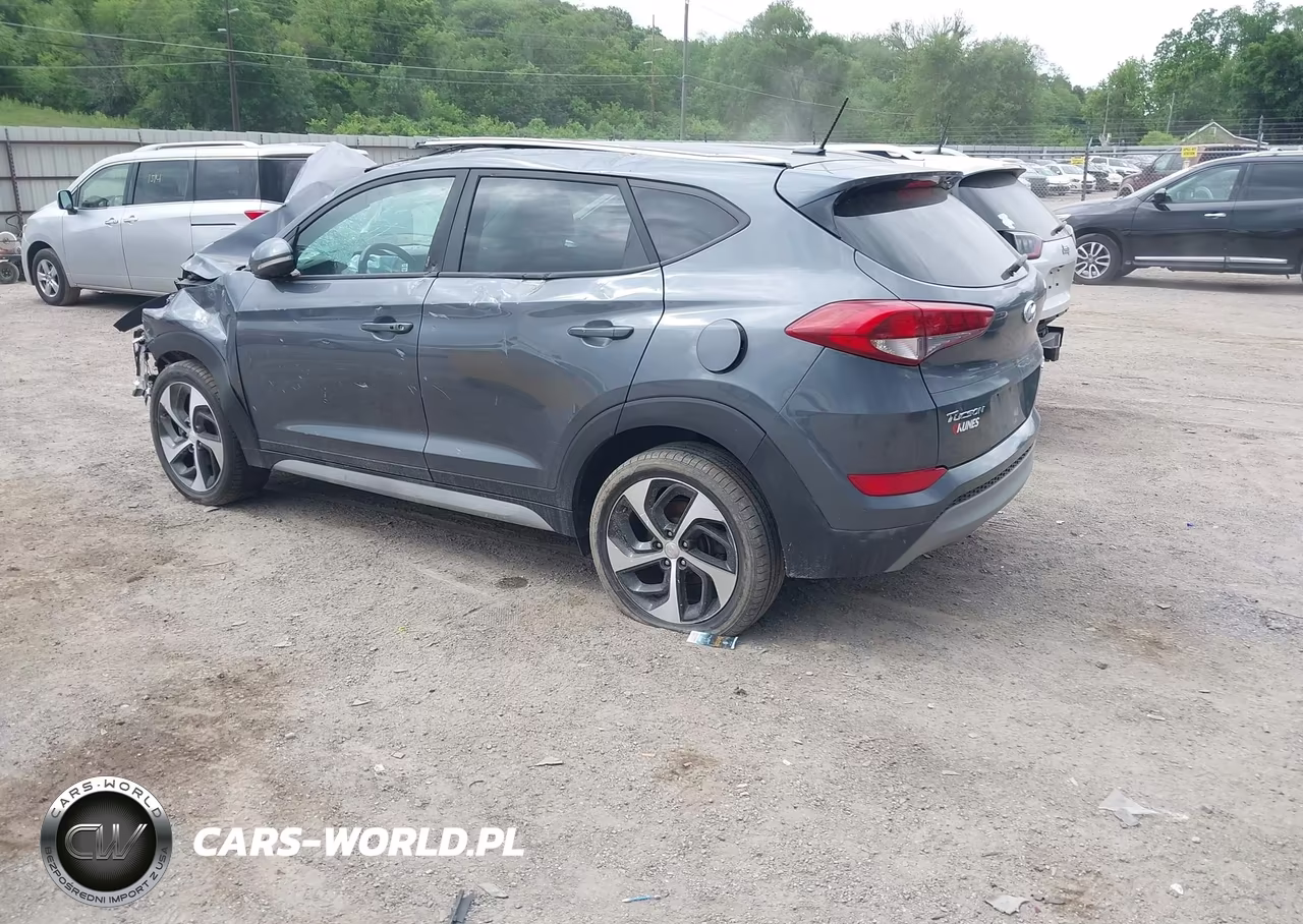 2017 Hyundai Tucson Sport VIN:KM8J3CA28HU401423 - 3