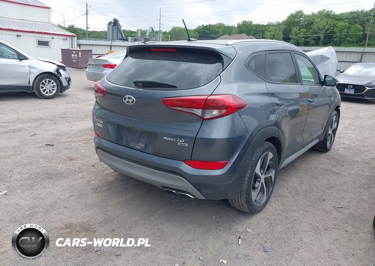 2017 Hyundai Tucson Sport VIN:KM8J3CA28HU401423 - 4