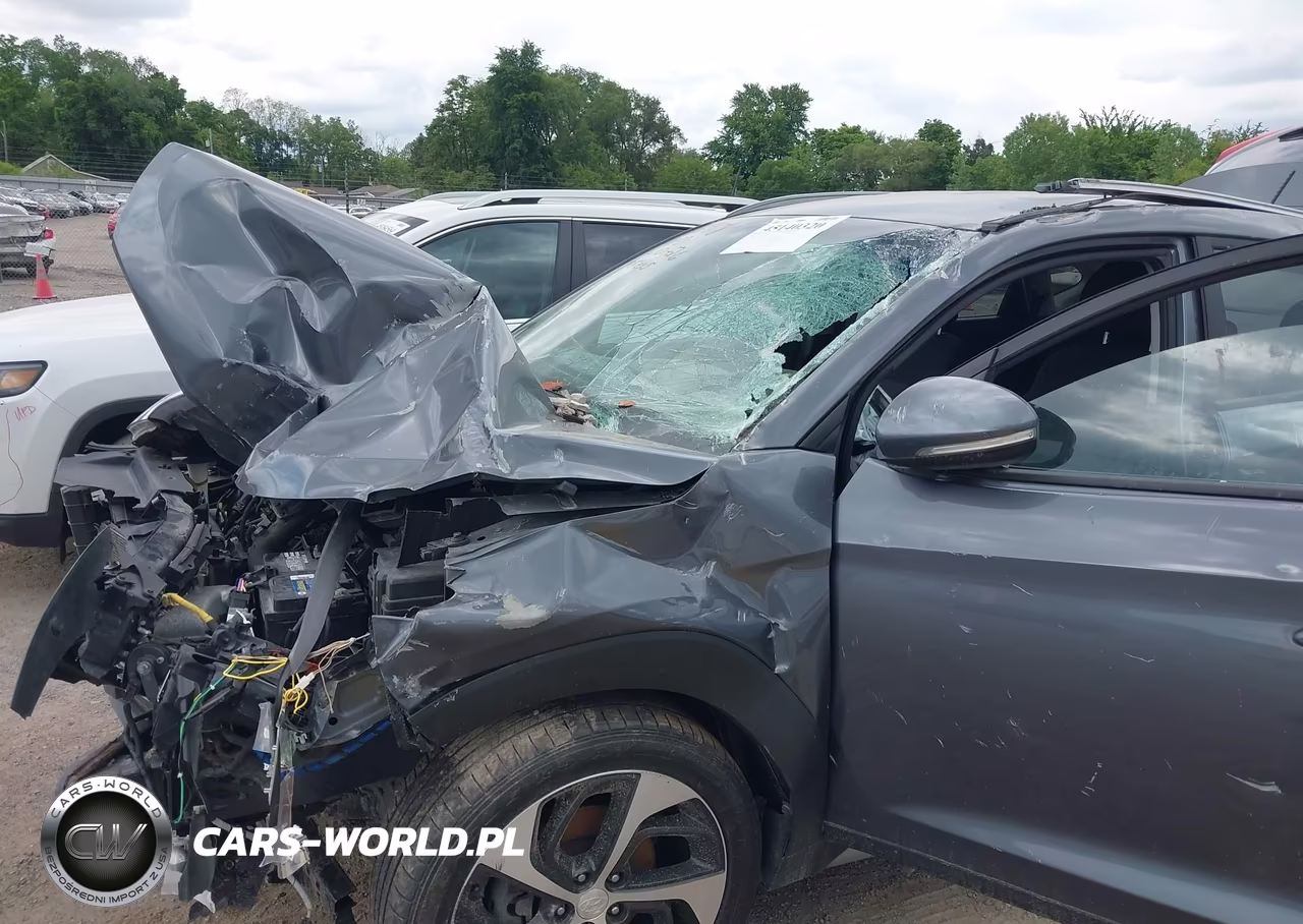 2017 Hyundai Tucson Sport VIN:KM8J3CA28HU401423 - 6