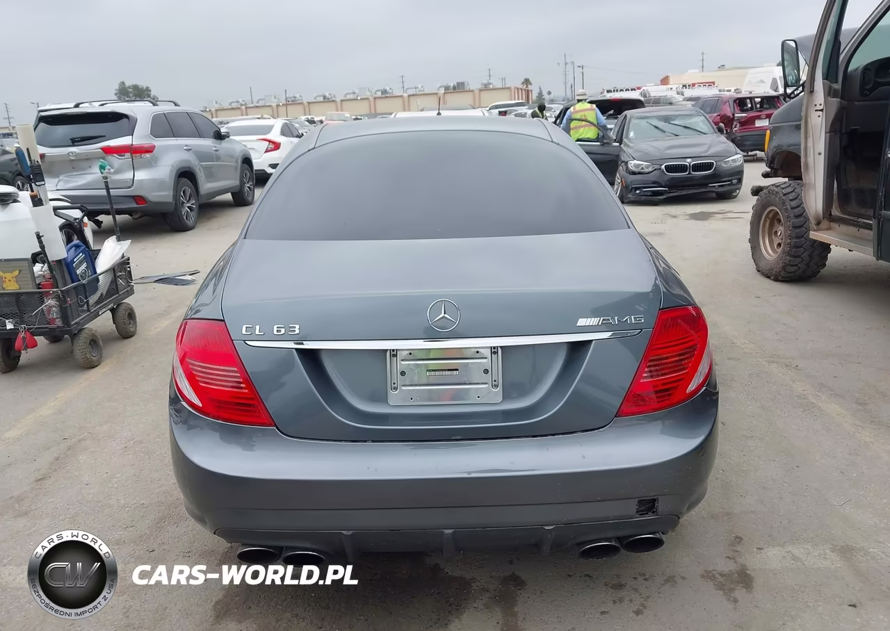 2009 Mercedes-Benz Cl 63 Amg VIN:WDDEJ77X59A020532 - 16