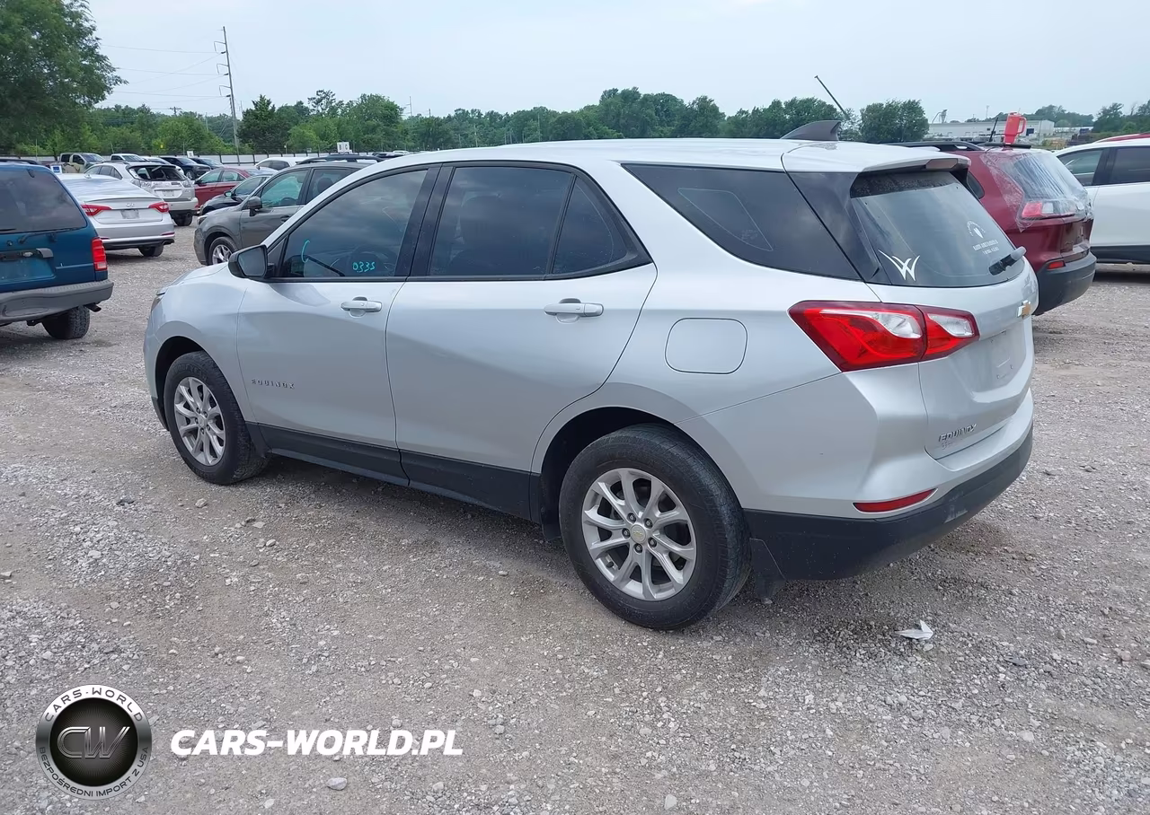 2019 Chevrolet Equinox Ls VIN:3GNAXHEV2KS511120 - 3