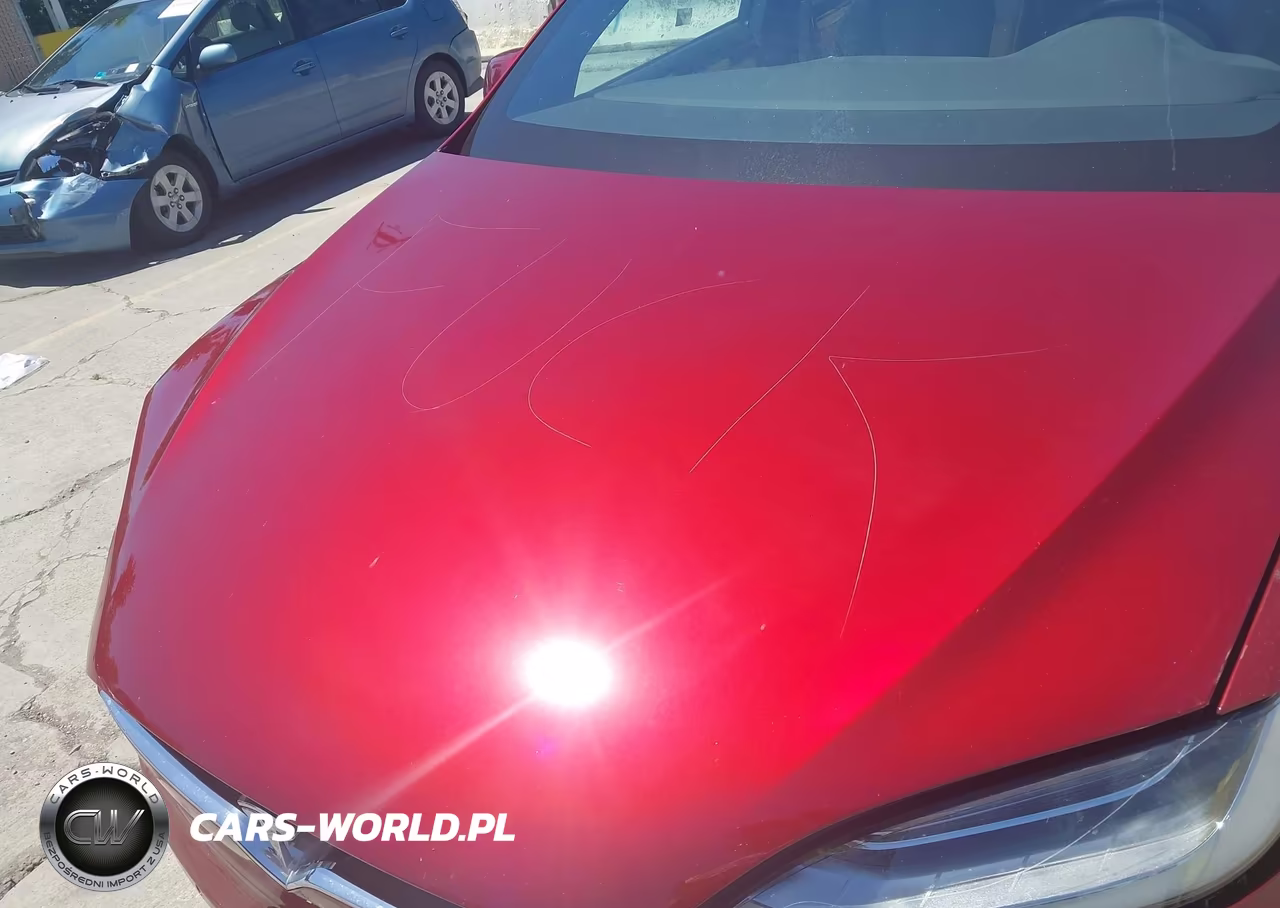 2016 Tesla Model X 60D-P100D-P90D VIN:5YJXCAE43GFS00583 - 6