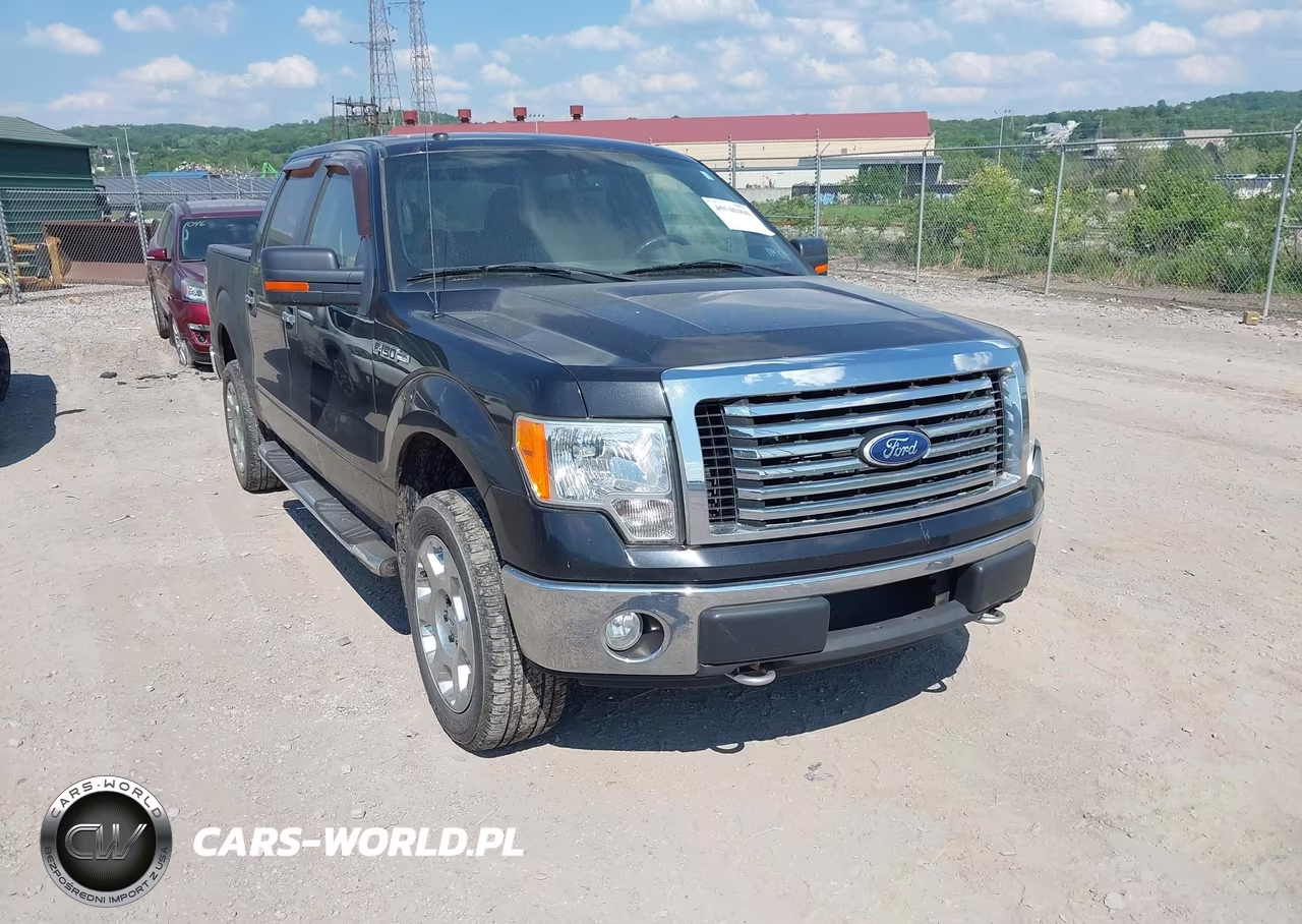 2010 Ford F-150 Fx4-Harley-Davidson-King Ranch-Lariat-Platinum-Xl-Xlt
