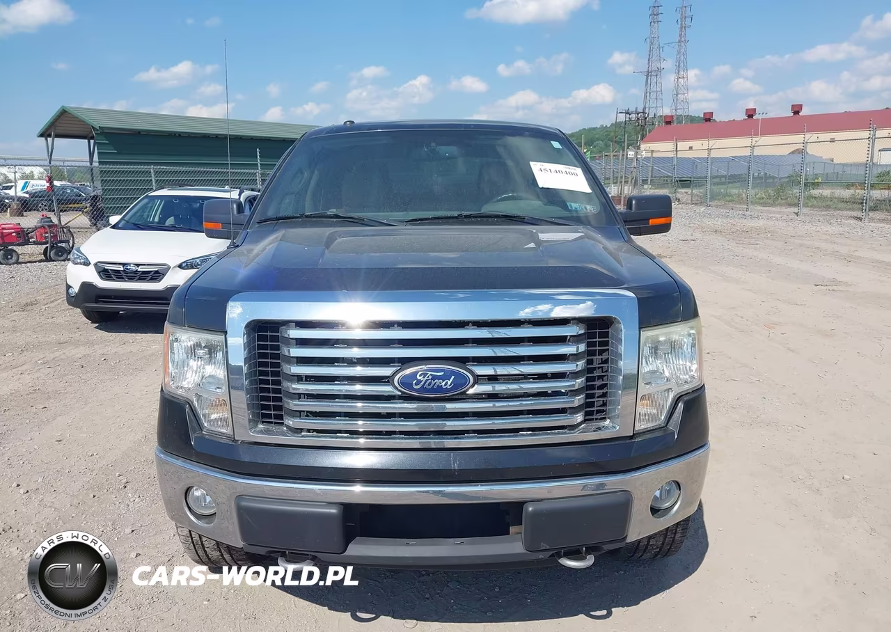 2010 Ford F-150 Fx4-Harley-Davidson-King Ranch-Lariat-Platinum-Xl-Xlt VIN:1FTFW1EV5AFB21365 - 12