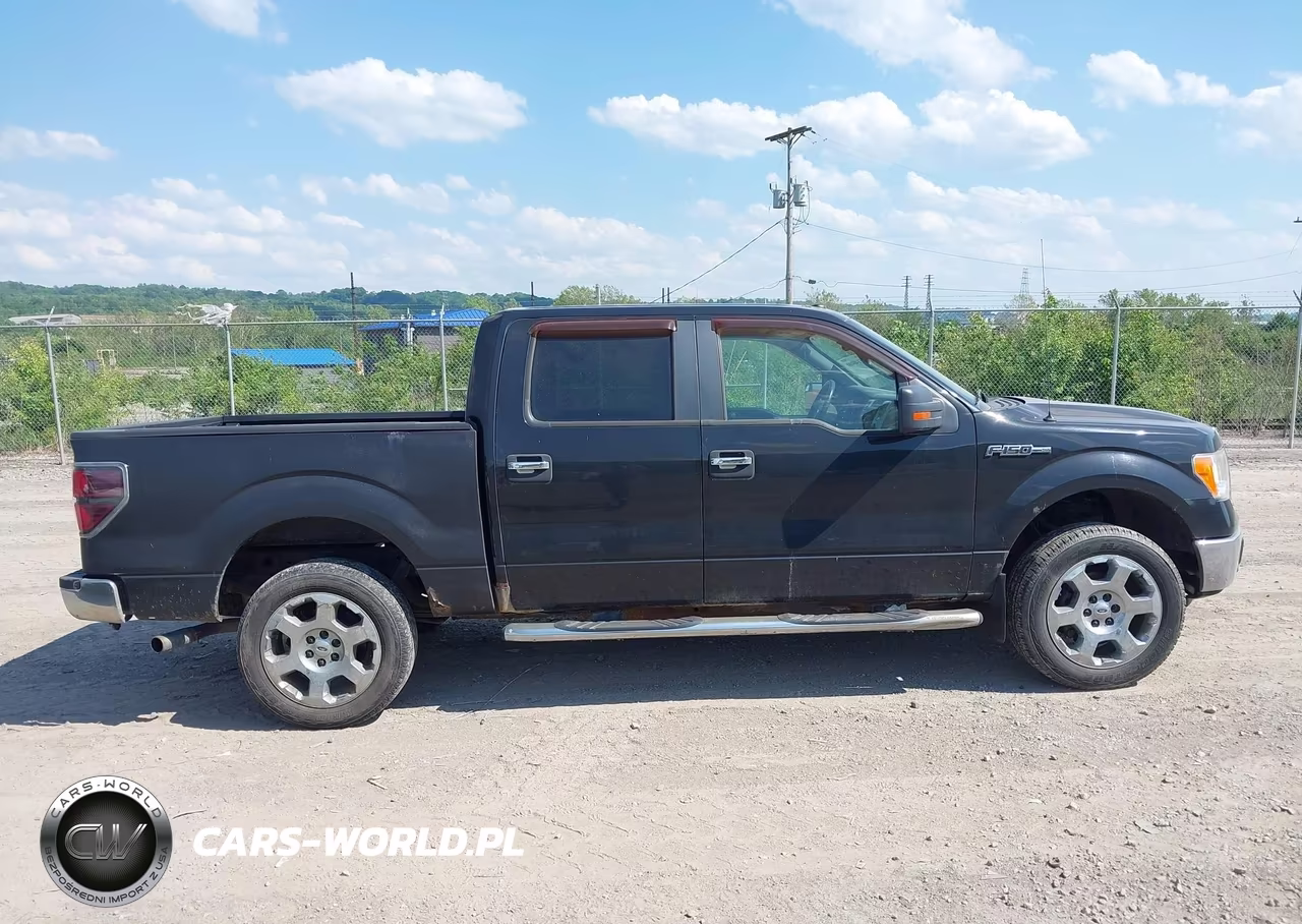 2010 Ford F-150 Fx4-Harley-Davidson-King Ranch-Lariat-Platinum-Xl-Xlt VIN:1FTFW1EV5AFB21365 - 13