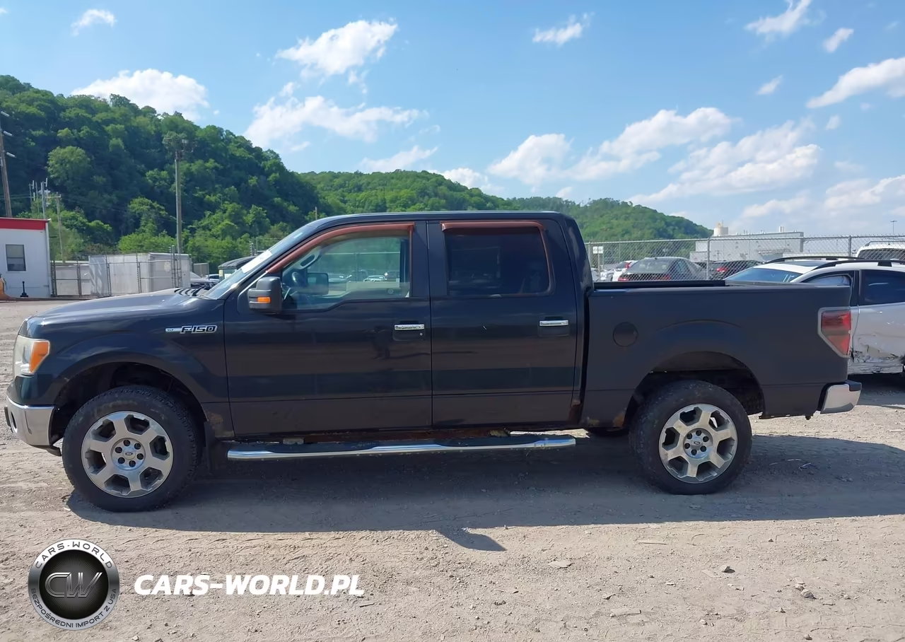 2010 Ford F-150 Fx4-Harley-Davidson-King Ranch-Lariat-Platinum-Xl-Xlt VIN:1FTFW1EV5AFB21365 - 14