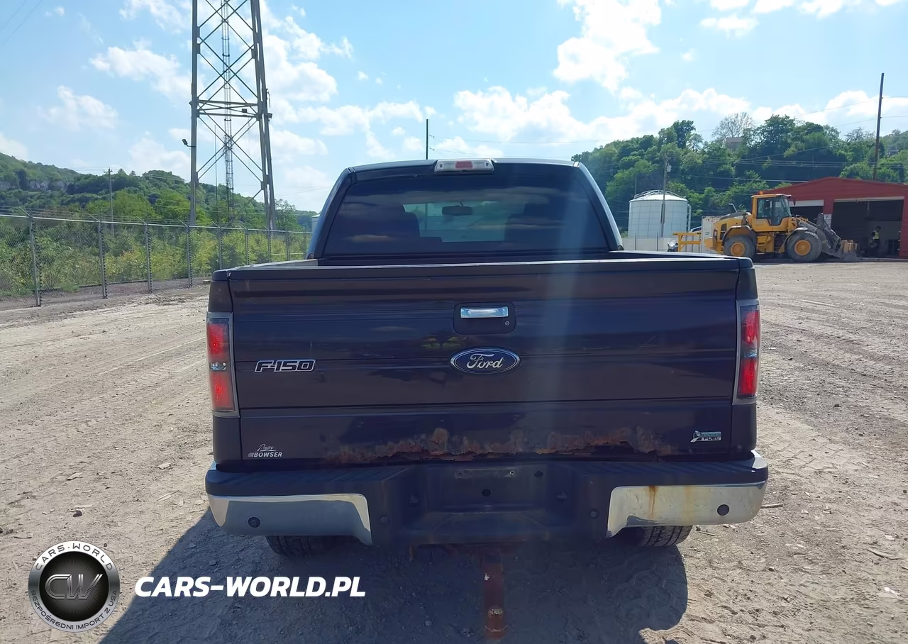 2010 Ford F-150 Fx4-Harley-Davidson-King Ranch-Lariat-Platinum-Xl-Xlt VIN:1FTFW1EV5AFB21365 - 16