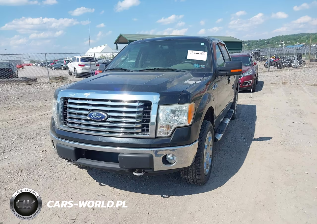2010 Ford F-150 Fx4-Harley-Davidson-King Ranch-Lariat-Platinum-Xl-Xlt VIN:1FTFW1EV5AFB21365 - 2