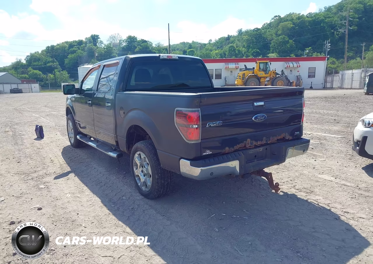 2010 Ford F-150 Fx4-Harley-Davidson-King Ranch-Lariat-Platinum-Xl-Xlt VIN:1FTFW1EV5AFB21365 - 3