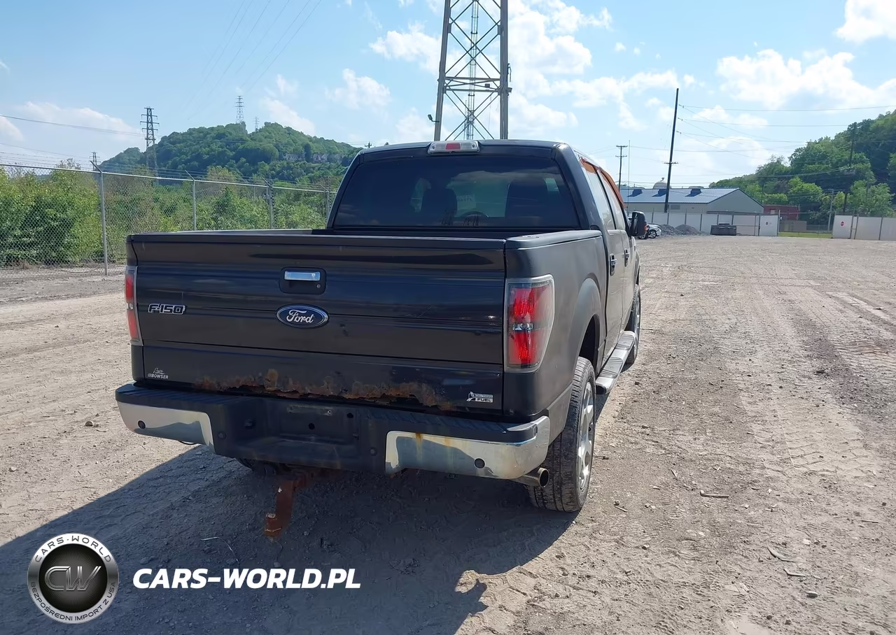 2010 Ford F-150 Fx4-Harley-Davidson-King Ranch-Lariat-Platinum-Xl-Xlt VIN:1FTFW1EV5AFB21365 - 4