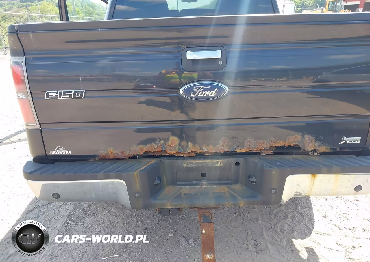 2010 Ford F-150 Fx4-Harley-Davidson-King Ranch-Lariat-Platinum-Xl-Xlt VIN:1FTFW1EV5AFB21365 - 6