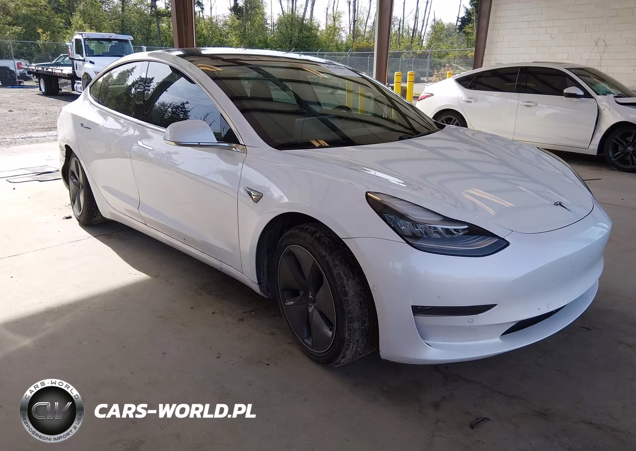 2020 Tesla Model 3 Standard Range Plus Rear-Wheel Drive-Standard Range Rear-Wheel Drive – zdjęcie 1 z 16