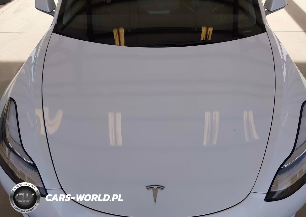 2020 Tesla Model 3 Standard Range Plus Rear-Wheel Drive-Standard Range Rear-Wheel Drive VIN:5YJ3E1EA1LF504875 - 10