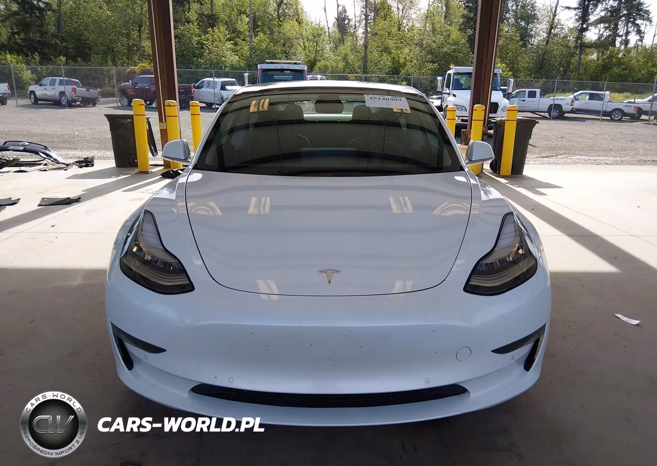 2020 Tesla Model 3 Standard Range Plus Rear-Wheel Drive-Standard Range Rear-Wheel Drive VIN:5YJ3E1EA1LF504875 - 12