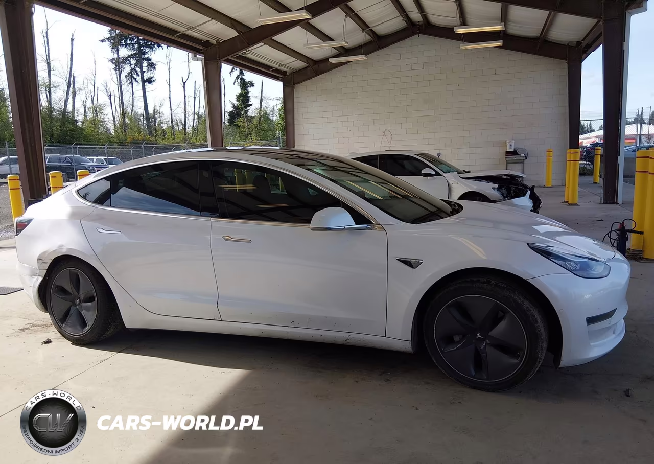 2020 Tesla Model 3 Standard Range Plus Rear-Wheel Drive-Standard Range Rear-Wheel Drive VIN:5YJ3E1EA1LF504875 - 13