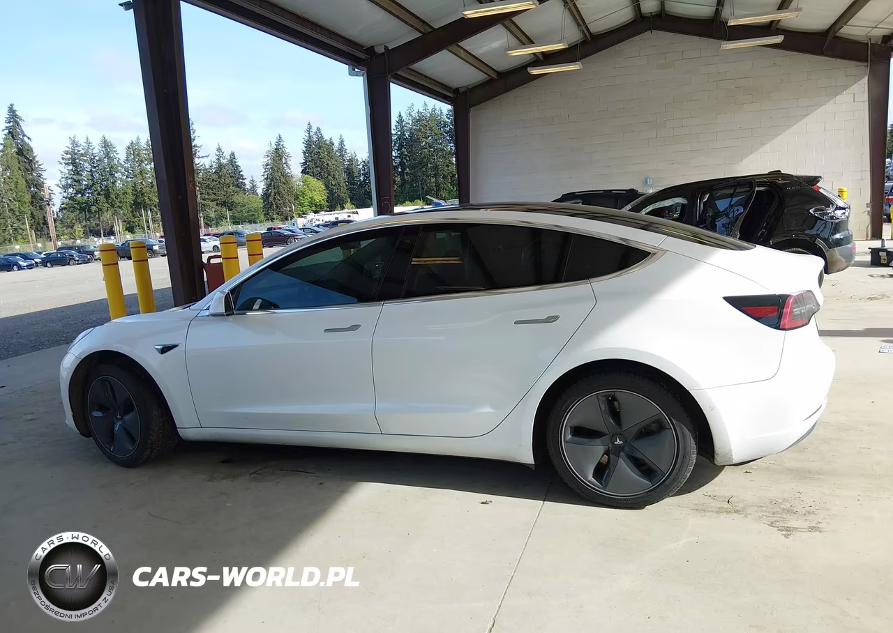 2020 Tesla Model 3 Standard Range Plus Rear-Wheel Drive-Standard Range Rear-Wheel Drive VIN:5YJ3E1EA1LF504875 - 14