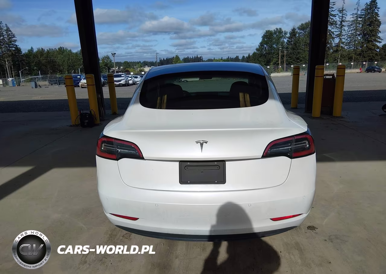 2020 Tesla Model 3 Standard Range Plus Rear-Wheel Drive-Standard Range Rear-Wheel Drive VIN:5YJ3E1EA1LF504875 - 16