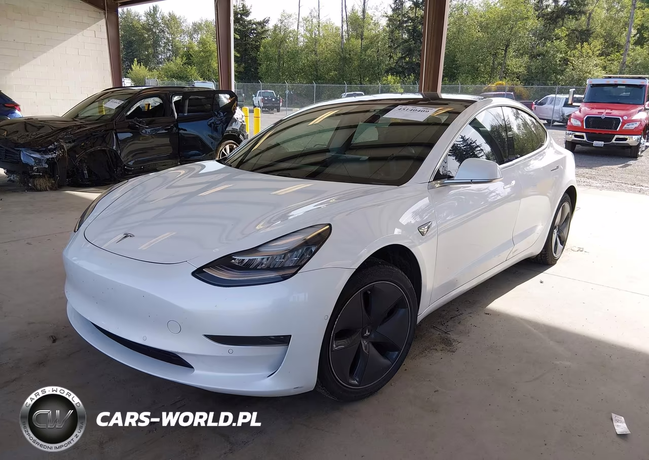2020 Tesla Model 3 Standard Range Plus Rear-Wheel Drive-Standard Range Rear-Wheel Drive VIN:5YJ3E1EA1LF504875 - 2