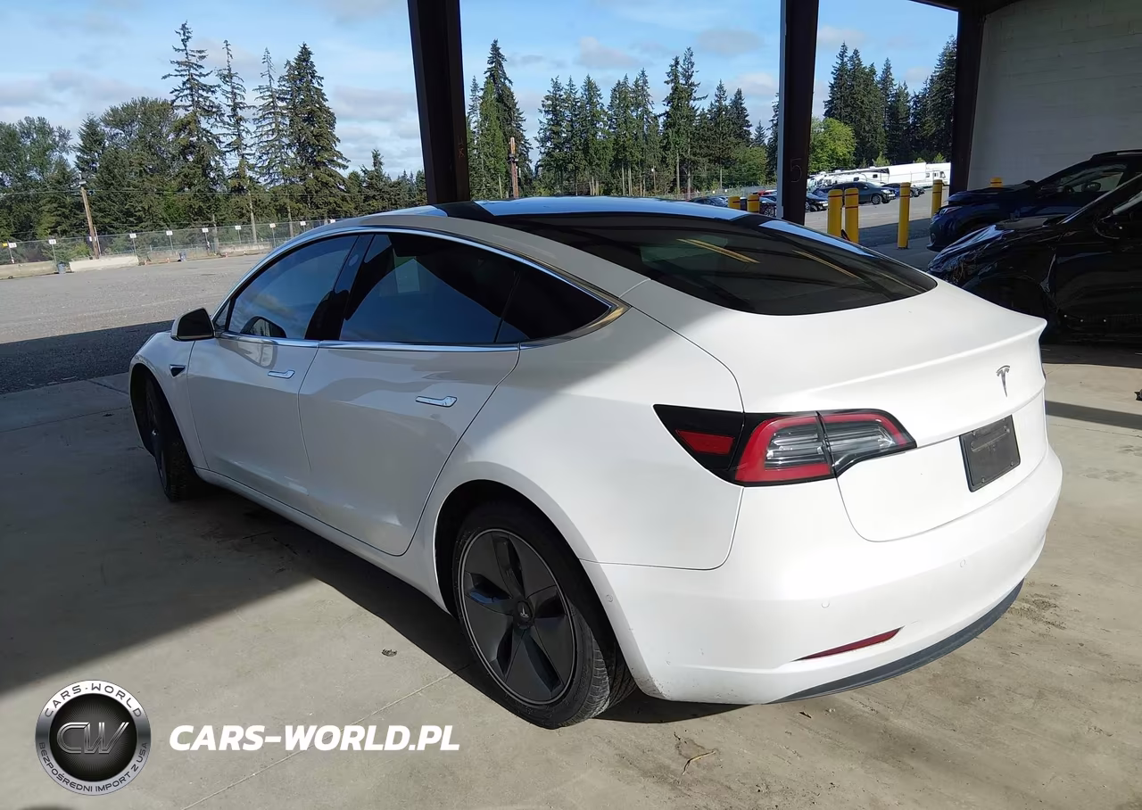 2020 Tesla Model 3 Standard Range Plus Rear-Wheel Drive-Standard Range Rear-Wheel Drive VIN:5YJ3E1EA1LF504875 - 3