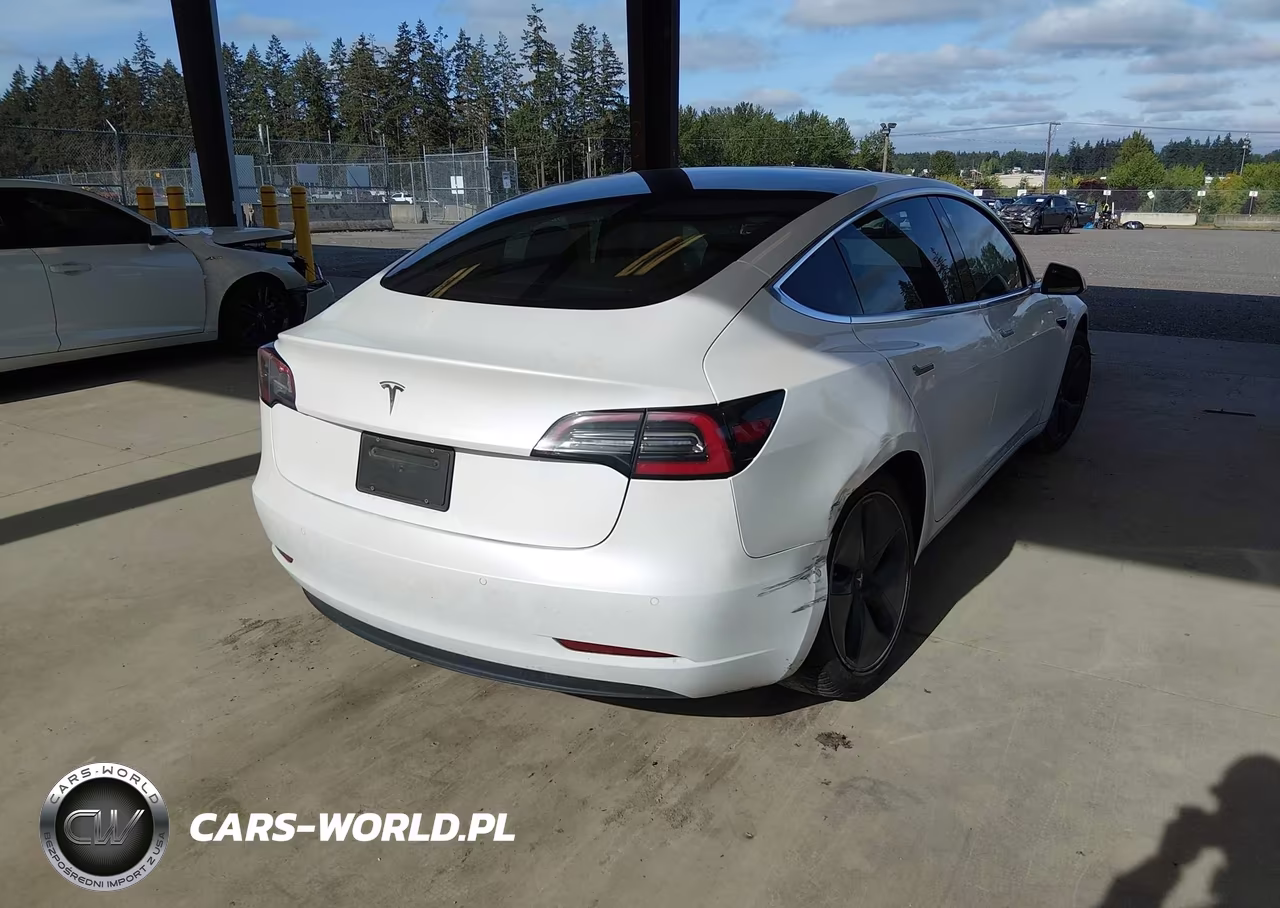 2020 Tesla Model 3 Standard Range Plus Rear-Wheel Drive-Standard Range Rear-Wheel Drive VIN:5YJ3E1EA1LF504875 - 4