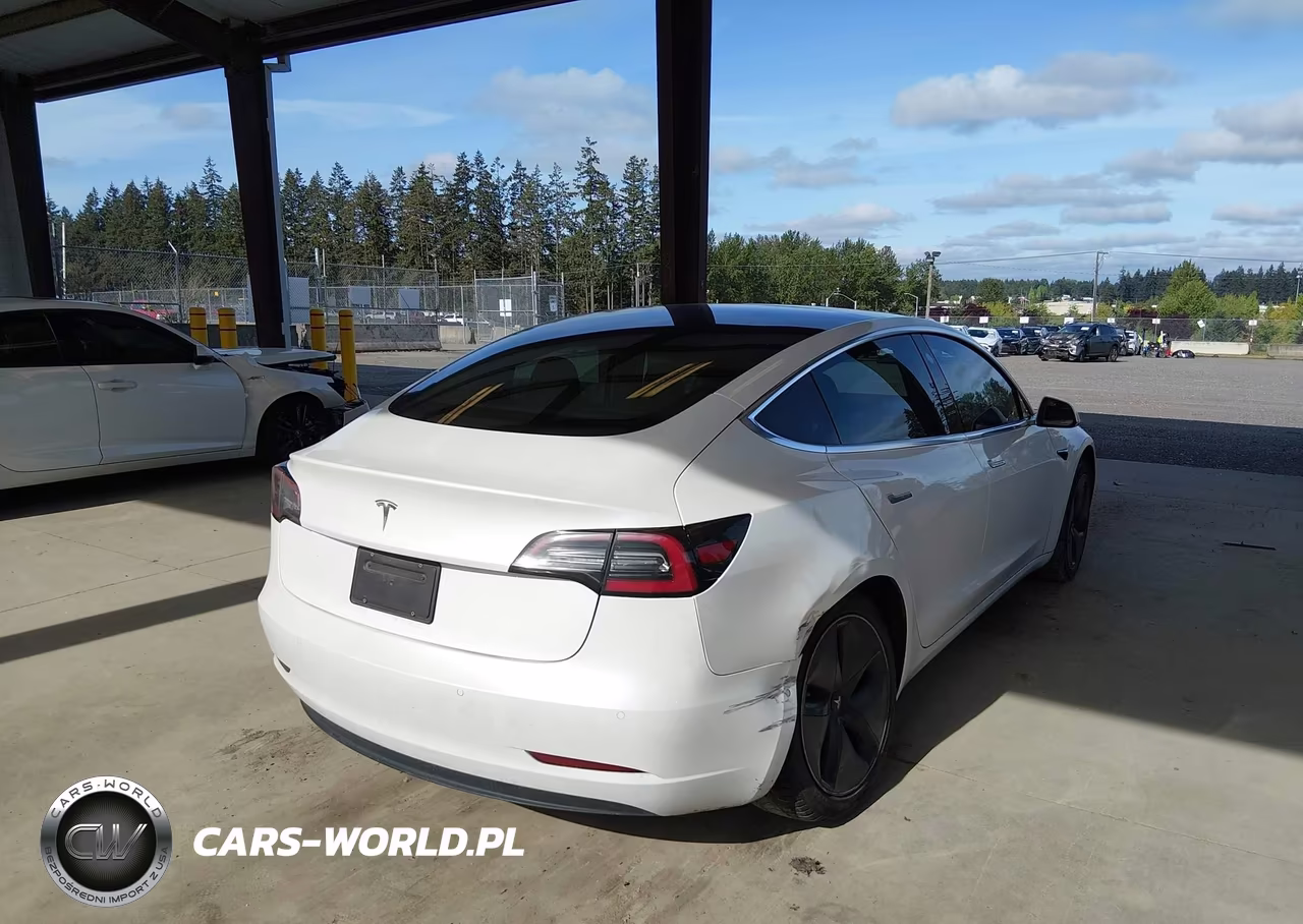 2020 Tesla Model 3 Standard Range Plus Rear-Wheel Drive-Standard Range Rear-Wheel Drive VIN:5YJ3E1EA1LF504875 - 6