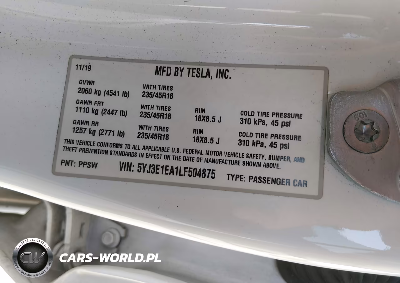2020 Tesla Model 3 Standard Range Plus Rear-Wheel Drive-Standard Range Rear-Wheel Drive VIN:5YJ3E1EA1LF504875 - 9